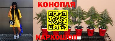 прущая мука Бердск