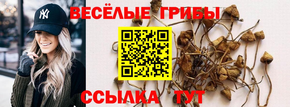 Ишимбай  Галлюциногенные грибы Psilocybine cubensis  Псилоцибиновые грибы ЛСД  Вход с VPN 